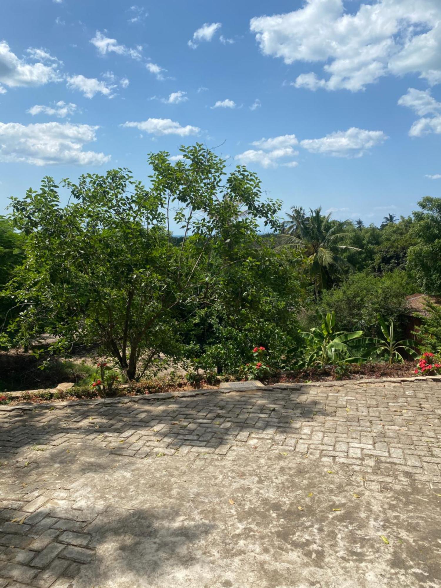 Mikoko Beach & Cottages Bagamoyo Exterior photo