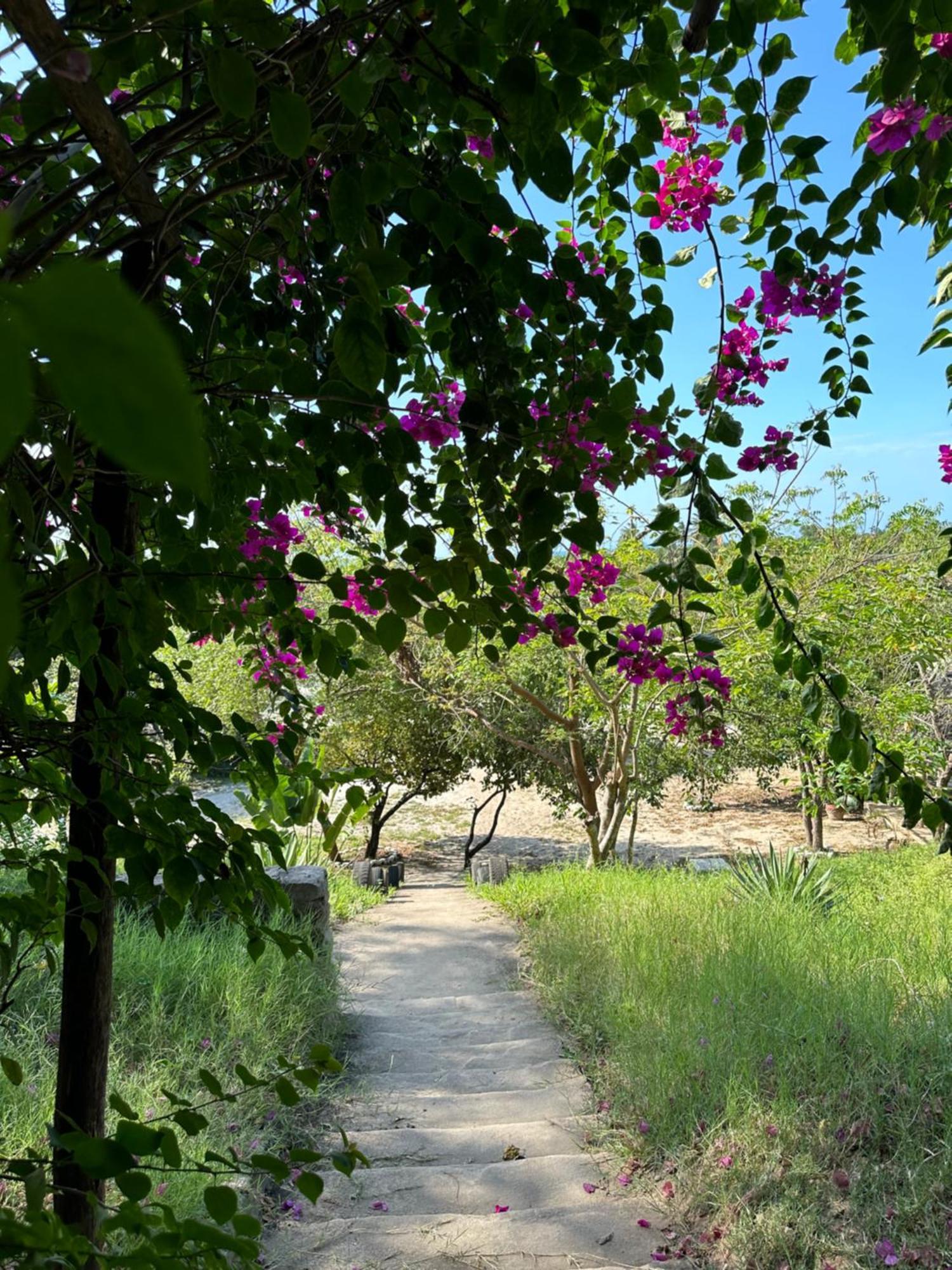 Mikoko Beach & Cottages Bagamoyo Exterior photo